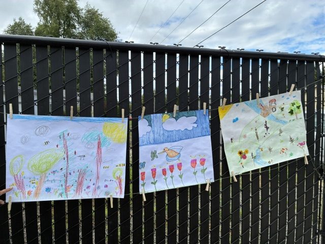 Children's drawings of gardens and pollinators clipped to a fence