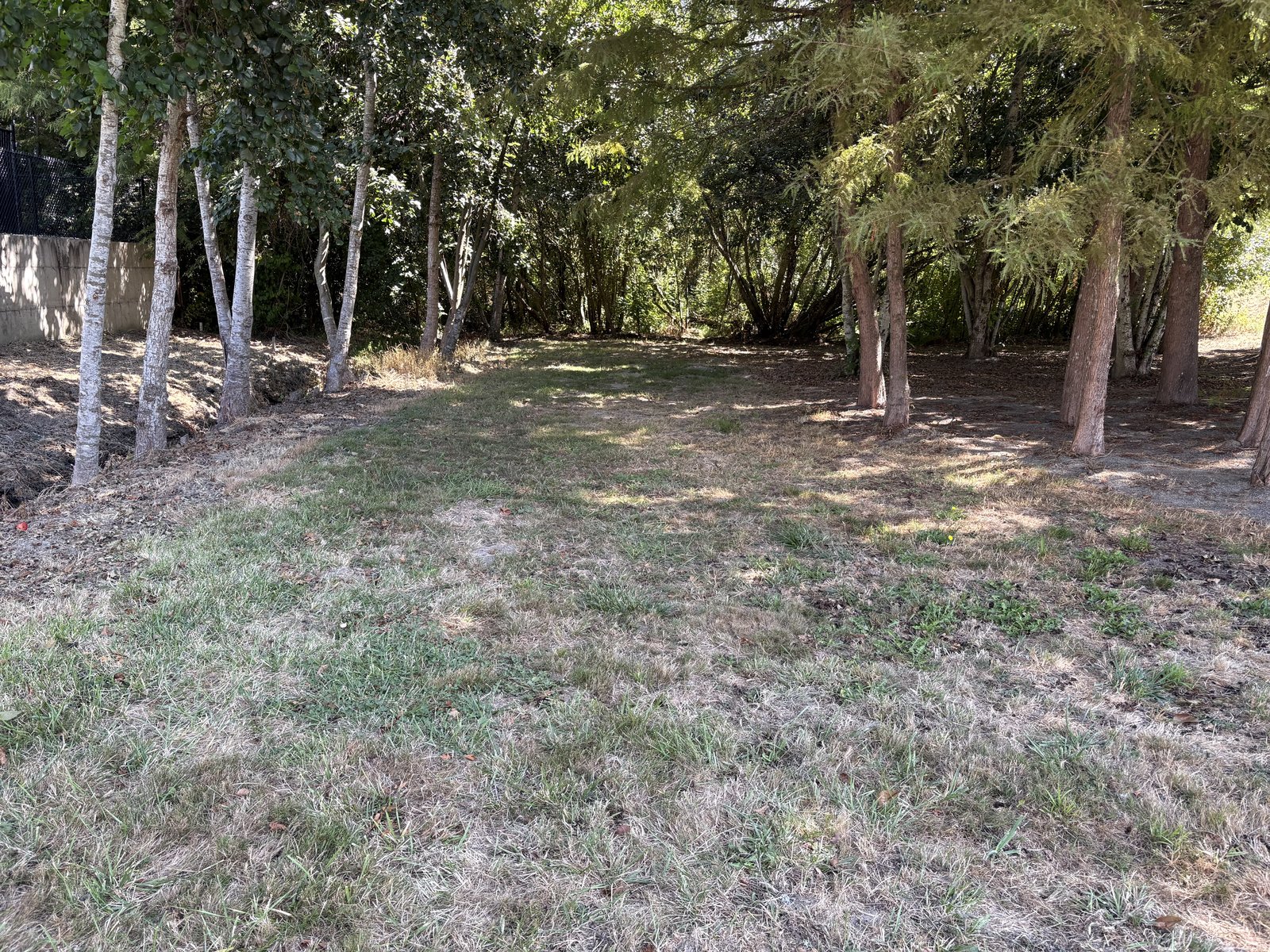 The open grassy clearing under the trees at Hawn Creek Pocket Park, before restoration planting