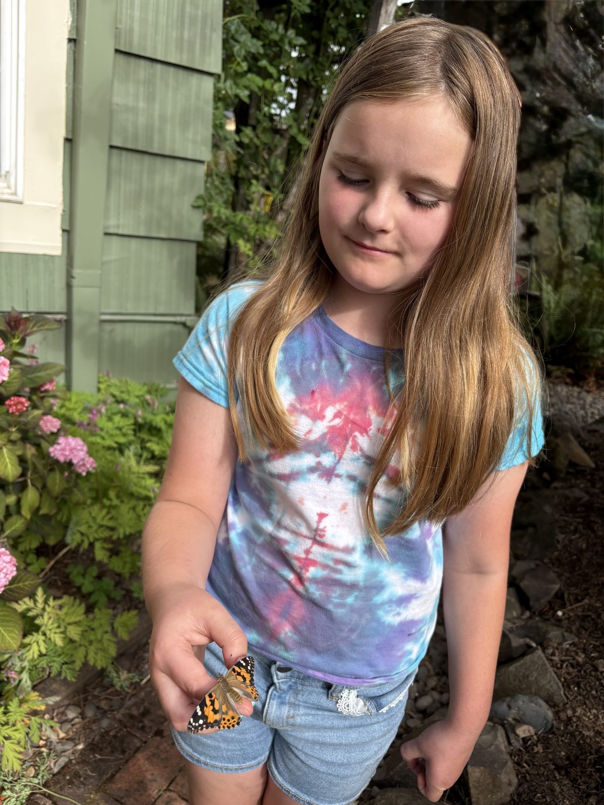 A child holding a painted lady butterfly on one finger