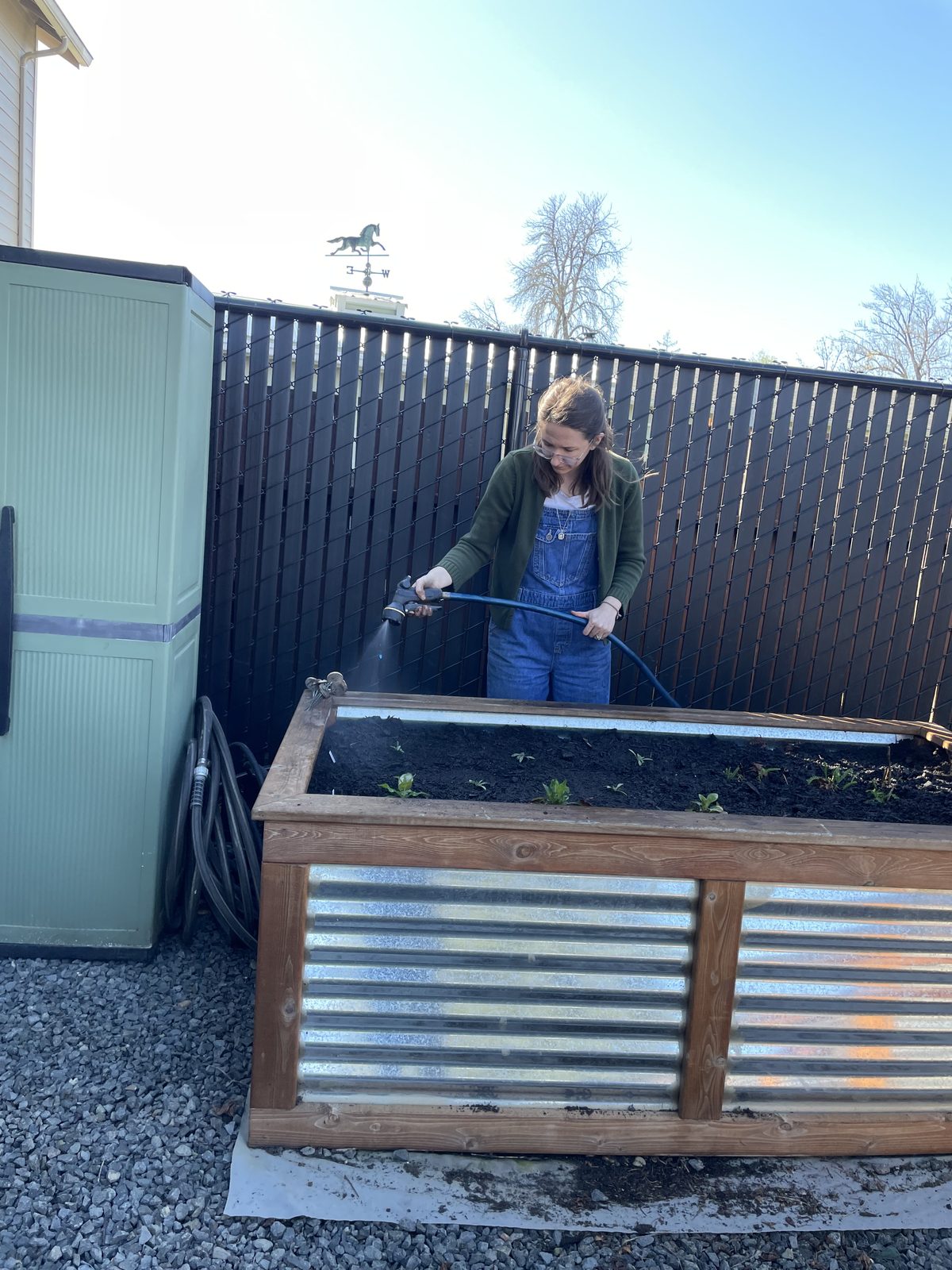 A volunteer watering newly planted seedlings in a raised bed on a clear spring day